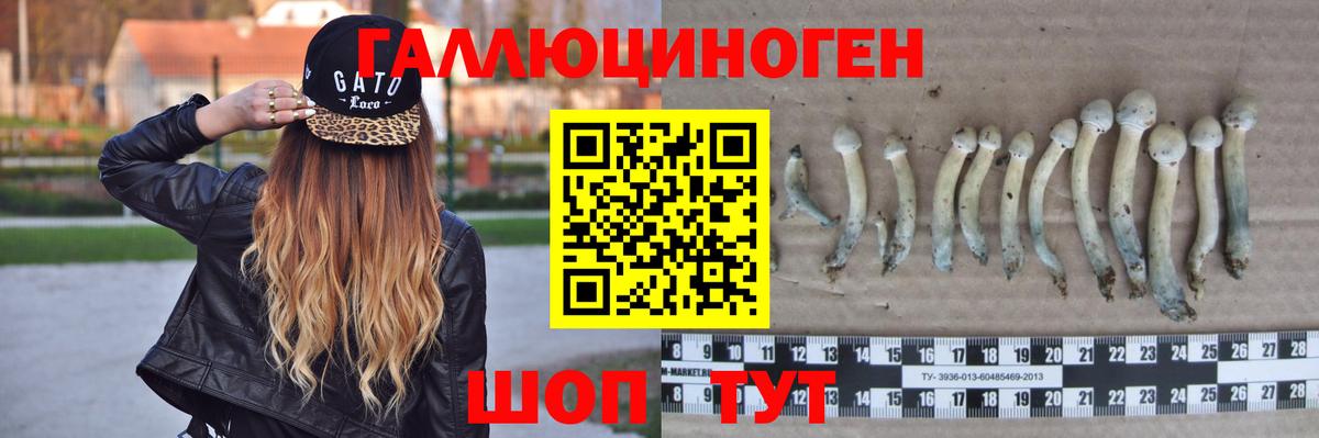 Ишим  купить   Вход с VPN  Псилоцибиновые грибы Magic Shrooms 